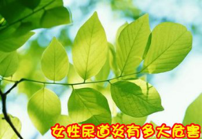 女性尿道炎的危害有哪些？