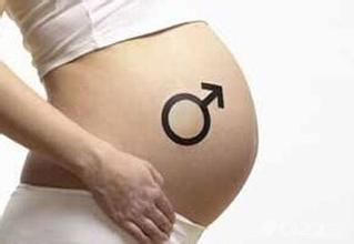 四维彩超看胎儿性别