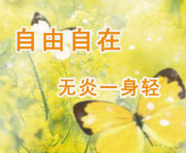 常见的妇科炎症有哪些？