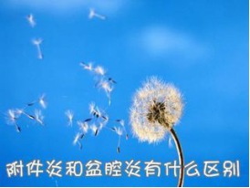 盆腔炎与附件炎的区别？